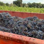 De la terra a la copa. Visitant els remences del segle XXI a Mas Ponsjoan Mas Ponsjoan