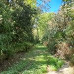 L’Agència Catalana de l’Aigua licita la millora ecològica de les rieres de Calonge i dels Molins Pla general de la riera de Calonge Data de publicació: dilluns 16 de setembre del 2024, 10:37 Localització: Calonge Autor: ACA