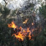 Baixa el risc d’incendi al Baix Empordà