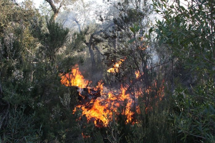 incendi-santa-cristina-5