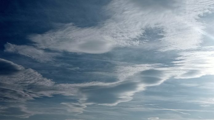 lenticulars