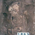 Un estudi confirma que els nadons enterrats a les llars iberes d’Ullastret van morir per causes naturals Un dels esquelets analitzats en l'estudi. Data de publicació: dimecres 09 d’octubre del 2024, 11:20 Localització: Cerdanyola del Vallès Autor: Cedida a l'ACN per la UAB.