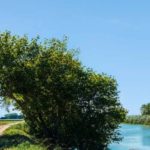 privat:-debat-public:-fauna-i-carreteres-en-el-marc-del-projecte-hidronet-baix-ter