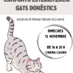 privat:-inscriu-el-teu-gat-domestic-a-la-campanya-anual-d’esterilitzacio