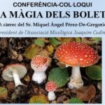 privat:-la-magia-dels-bolets-a-santa-cristina-d’aro