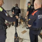 Identifiquen 64 persones i interposen cinc denúnices per tinença de droga en una operació contra quatre bars a Palafrugell Policia operació bars Palafrugell