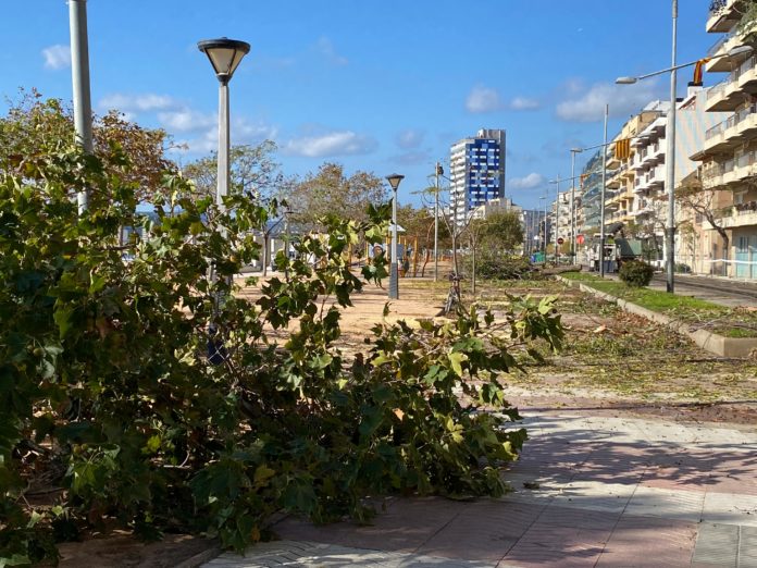 tala arbres palamós