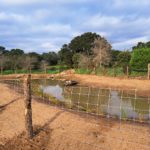 Palamós impulsa actuacions a l’Espai Natural del Castell per fomentar la biodiversitat Espai Natural del Castell Palamós