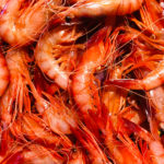 No hi haurà escassetat de gamba vermella fresca de Palamós aquest nadal gamba de Palamós