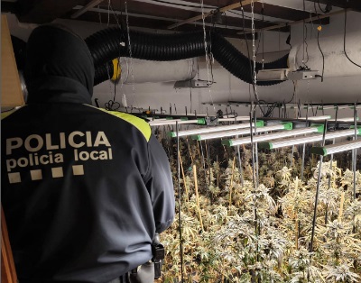 marihuana santa cristina d'aro