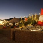 Agustín Soto: “Volem oferir una proposta nadalenca per tota la família” Parc de Nadal els 7 Follets Vall-llobrega Agustín Soto