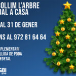 recollida-d’arbres-de-nadal