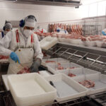 Les exportacions gironines cauen un 3,7% al novembre però ja freguen els 7.700 milions en l’acumulat de l’any exportacions gironines