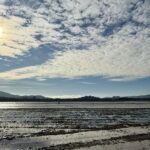 Cap de setmana suau, tornarà la fred?