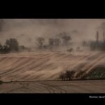 Eugeni Prieto: “La mostra que homenatja a Vicent Andrés Estallés ens serveix per connectar-nos encara més amb València” privat:-foto-torroella-homenatja-al-poeta-vicent-andres-estelles-en-el-seu-centenari