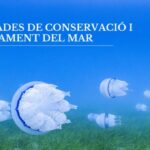 privat:-palamos-acollira-les-3eres-jornades-de-conservacio-i-aprofitament-del-mar