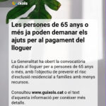 privat:-les-persones-de-65-anys-o-mes-ja-poden-demanar-els-ajuts-per-al-pagament-del-lloguer