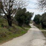 privat:-troben-el-cadaver-d’un-home-amb-signes-de-violencia-en-un-descampat-de-roses