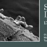 privat:-salvi-danes-presenta-“l’instint”-al-museu-palau-solterra-de-la-fundacio-vila-casas