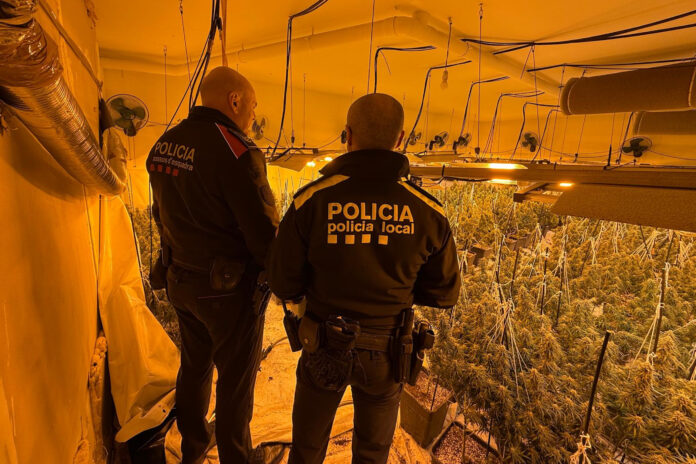 policia control drogues - ACN