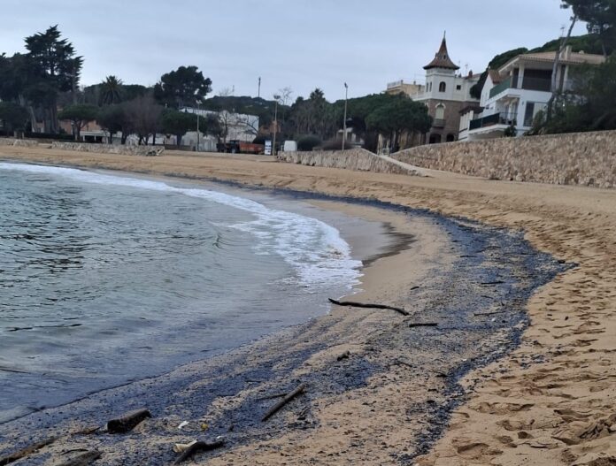 barquetes de sant pere a palamós