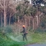 Inicien el manteniment de les franges de la zona de la Platja de Pals i Puigvermell Franges de Pals