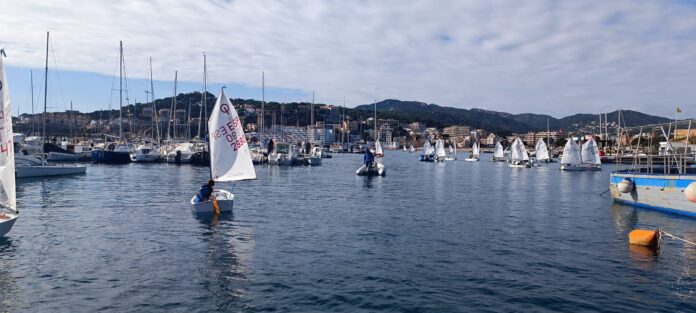 Guíxols Cup-optimist-02