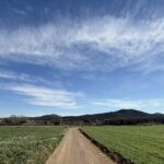 Torna l’anticicló i el contrast tèrmic marcat