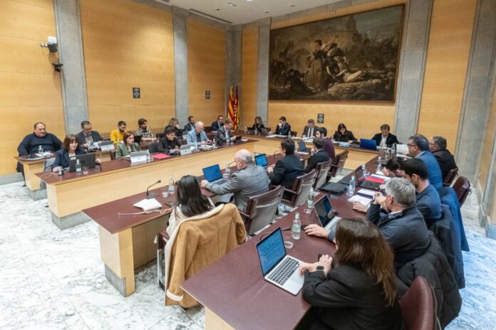 ple mes de febrer diputació de Girona