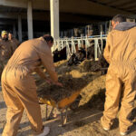 Curs pioner d’auxiliar de ramaderia al Baix Empordà per fomentar la professió: “Estic a l’atur i vull sortir amb feina”