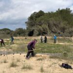 Impulsen una acció de voluntariat a la platja de Castell per preservar l’espai natural Neteja espai natural del castell Palamós