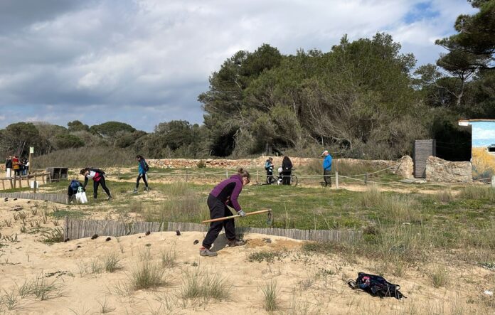Neteja espai natural del castell Palamós