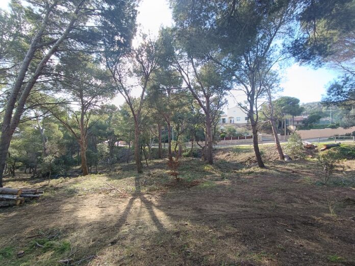 privat:-palafrugell-finalitzara-els-treballs-en-la-prevencio-d’incendis-forestals-al-municipi