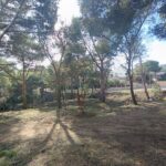 privat:-palafrugell-finalitza-els-treballs-en-la-prevencio-d’incendis-forestals-al-municipi