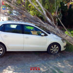 Prop de 350 avisos als Bombers pel temporal de vent, que ja supera els 120 km/h al Pirineu