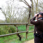 Els guardes rurals es despleguen als Aiguamolls de l’Empordà i ja cobreixen tots els parcs naturals gironins