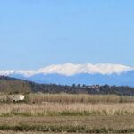 Temps canviant tota la setmana