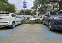 XALOC impulsa una aplicació pública per gestionar l’estacionament als municipis gironins Canvi de màquines de tiquets i més places de zona blava amb el nou contracte de Calonge i Sant Antoni