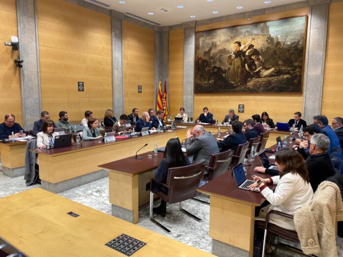 ple de la diputació de Girona ajudes biblioteca