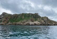 La Generalitat ajorna la consulta pública per ampliar el Parc Natural del Montgrí, les Illes Medes i el Baix Ter Presentació del Festival Ítaca a les Illes Medes