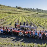 Els tallers de cuina maridats amb vi i els tasts de vins serviran per celebrar el Vívid d’enguany Vívid