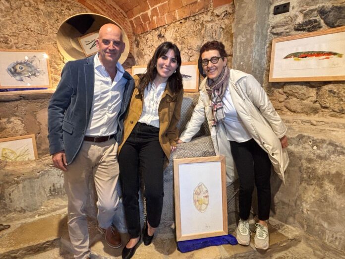 Calella de Palafrugell exposició Rosa Aguiló