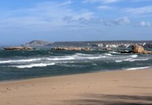 Vent fort i risc de torb i allaus aquest dissabte a l’Empordà i el Pirineu gironí privat:-mes-de-850-trucades-al-112-pel-temporal-de-vent,-amb-ratxes-de-mes-de-100-km/h-a-l’emporda