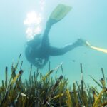 privat:-inscripcions-obertes-per-a-poder-participar-en-el-curs-de-guia-de-busseig-i-snorkel