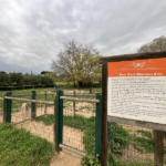 privat:-arranjaments-i-millores-al-parc-cani-del-puig-de-sant-ramon-de-la-bisbal-d’emporda