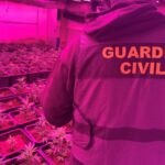 privat:-dos-detinguts-per-tenir-una-plantacio-de-marihuana-amb-810-testos-a-vilamacolum