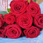 privat:-mes-de-30-parades-formaran-part-de-la-fira-de-sant-jordi-al-carrer-major-de-palamos