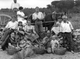 privat:-la-do-emporda-commemora-els-seus-50-anys-de-vida