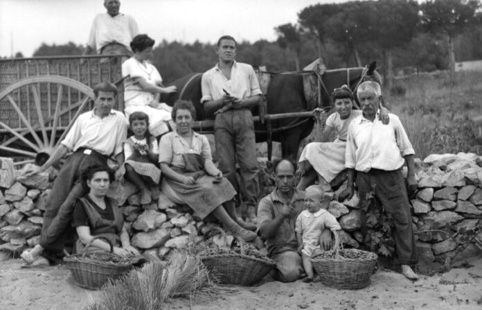 privat:-la-do-emporda-commemora-els-seus-50-anys-de-vida