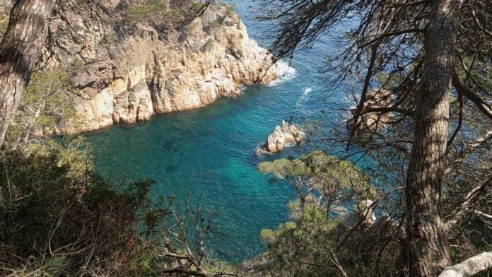 privat:-palafrugell-licita-l’adequacio-del-cami-de-ronda-de-tamariu-a-cala-pedrosa
